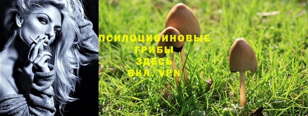 дживик Белокуриха
