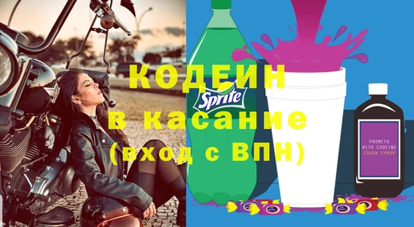 дживик Белокуриха