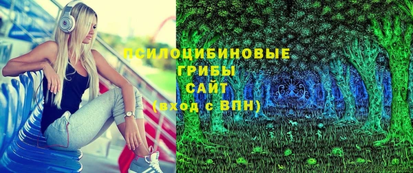 PSILOCYBIN Беломорск