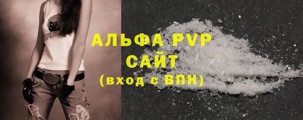 PSILOCYBIN Беломорск