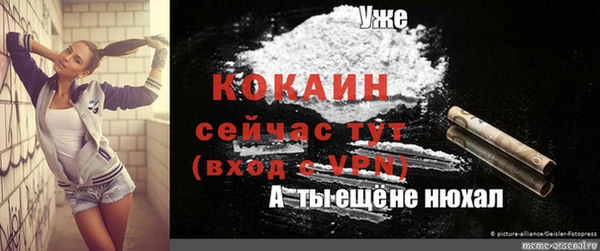 дживик Белокуриха