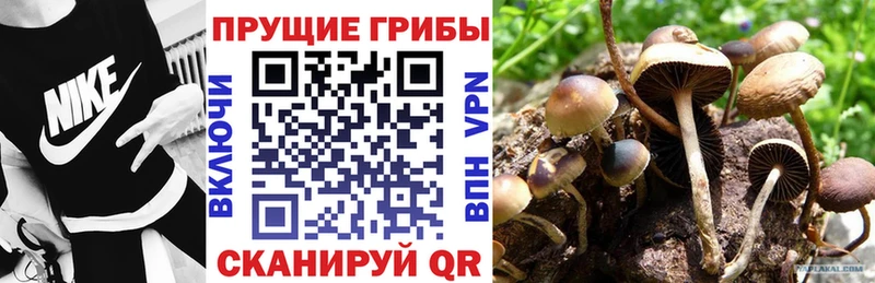 Псилоцибиновые грибы ЛСД  Миньяр 